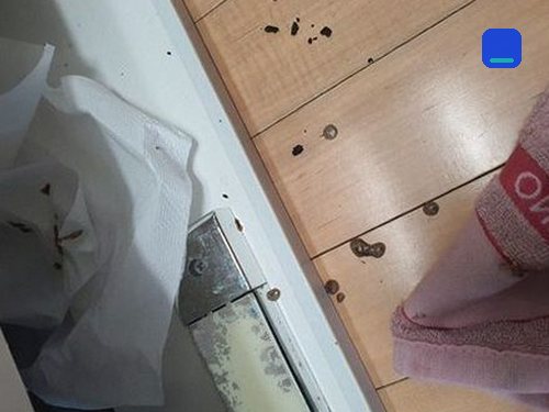 사하구 · 전화 상담 뒤 방문 고객 글 사진